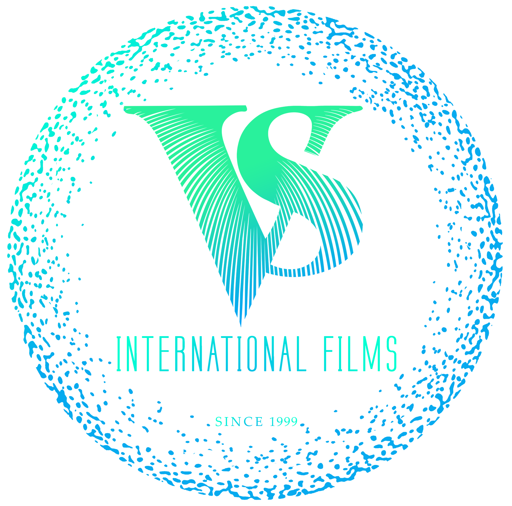 V S International Films